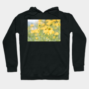 Yellow Coneflower Rudbeckia Lacinata Hoodie